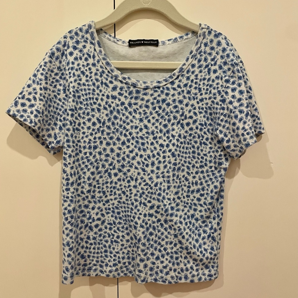 Brandy Melville Cropped Tee